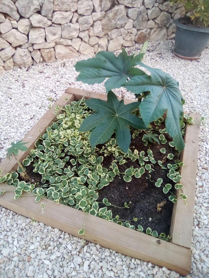 Villa Casa Carmen Calpe Esterno foto